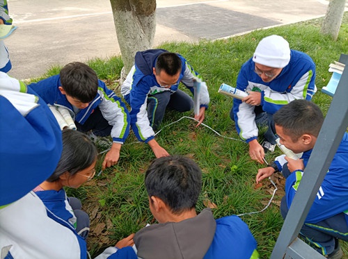 金雁中学校服图片