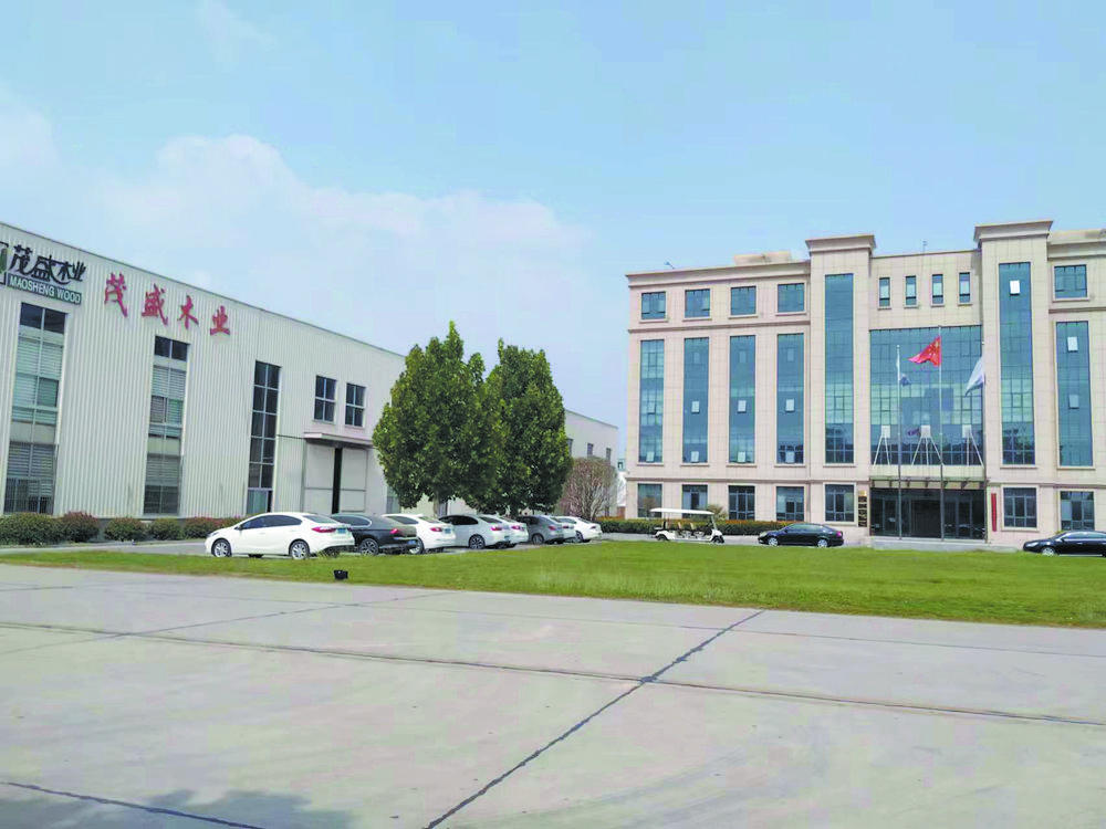 曹县庄寨镇:产业园区化 镇区城市化 产城融合发展