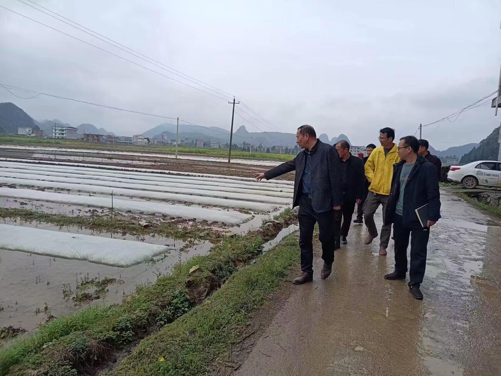 道县:杨三信调研督导安全生产,早稻生产等工作