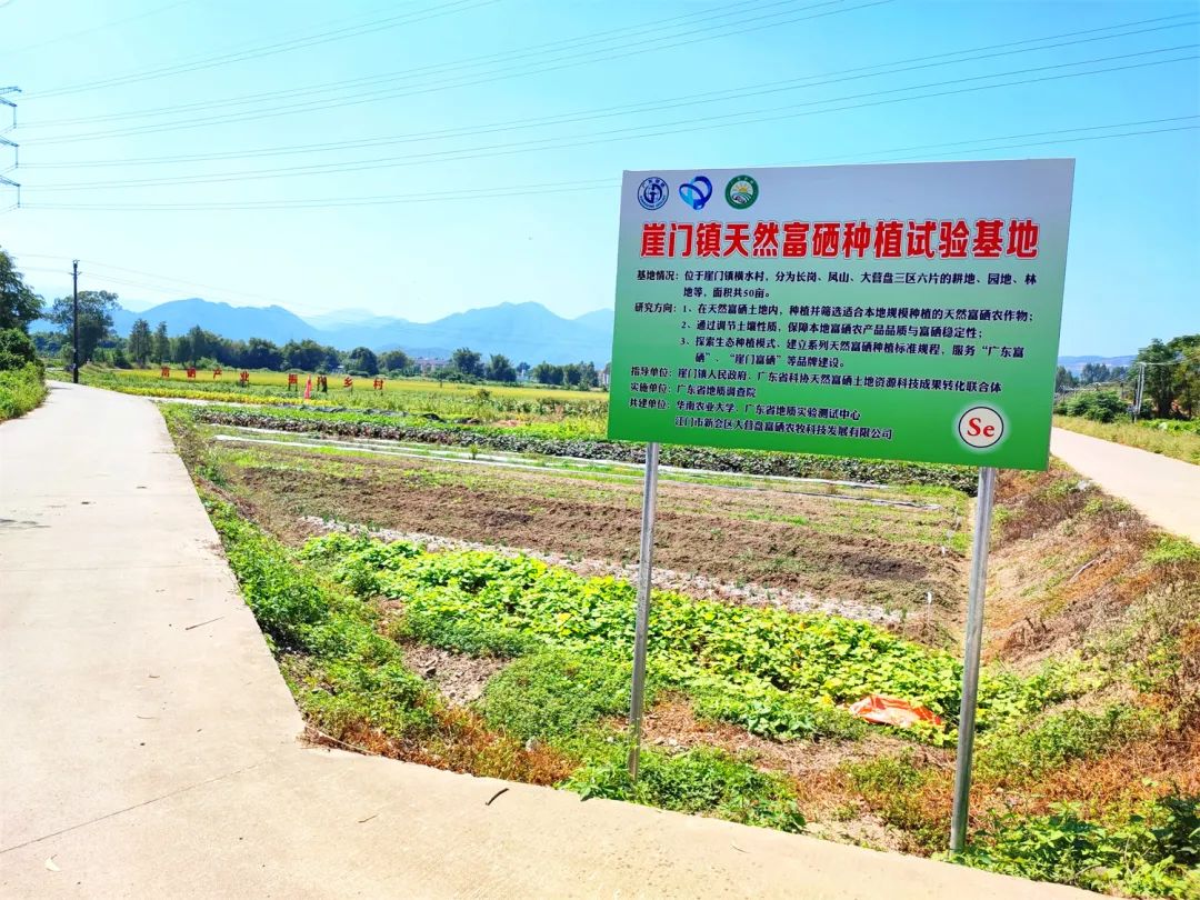 全省首批!新會崖門橫水村大營盤地塊獲