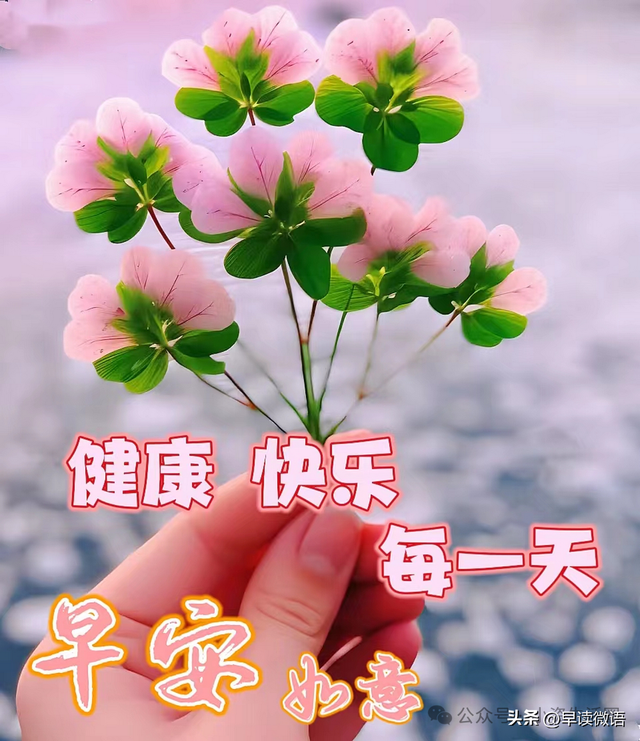 早安健康快乐暖心话图片款(早安健康快乐问候图片)
