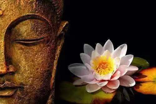 九华山尼姑,法号仁义,圆寂后坐缸3年成正果,但已失去女性特征