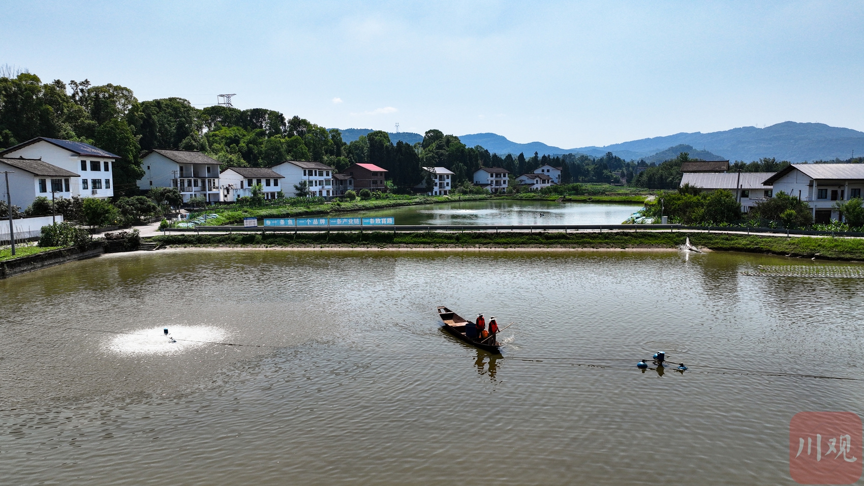 县域新气象|平昌:打造江口青鳙种业"芯片",小鱼苗能否"游出"大产业