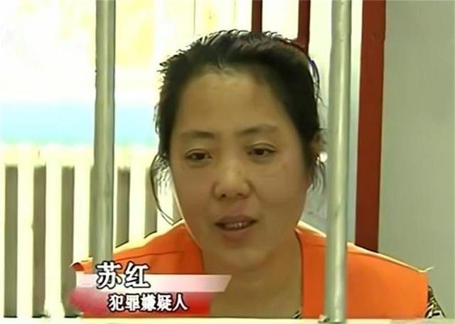 2010年苏红案:乡村女医生连杀4人,警察上门询问:你家有菜窖吗