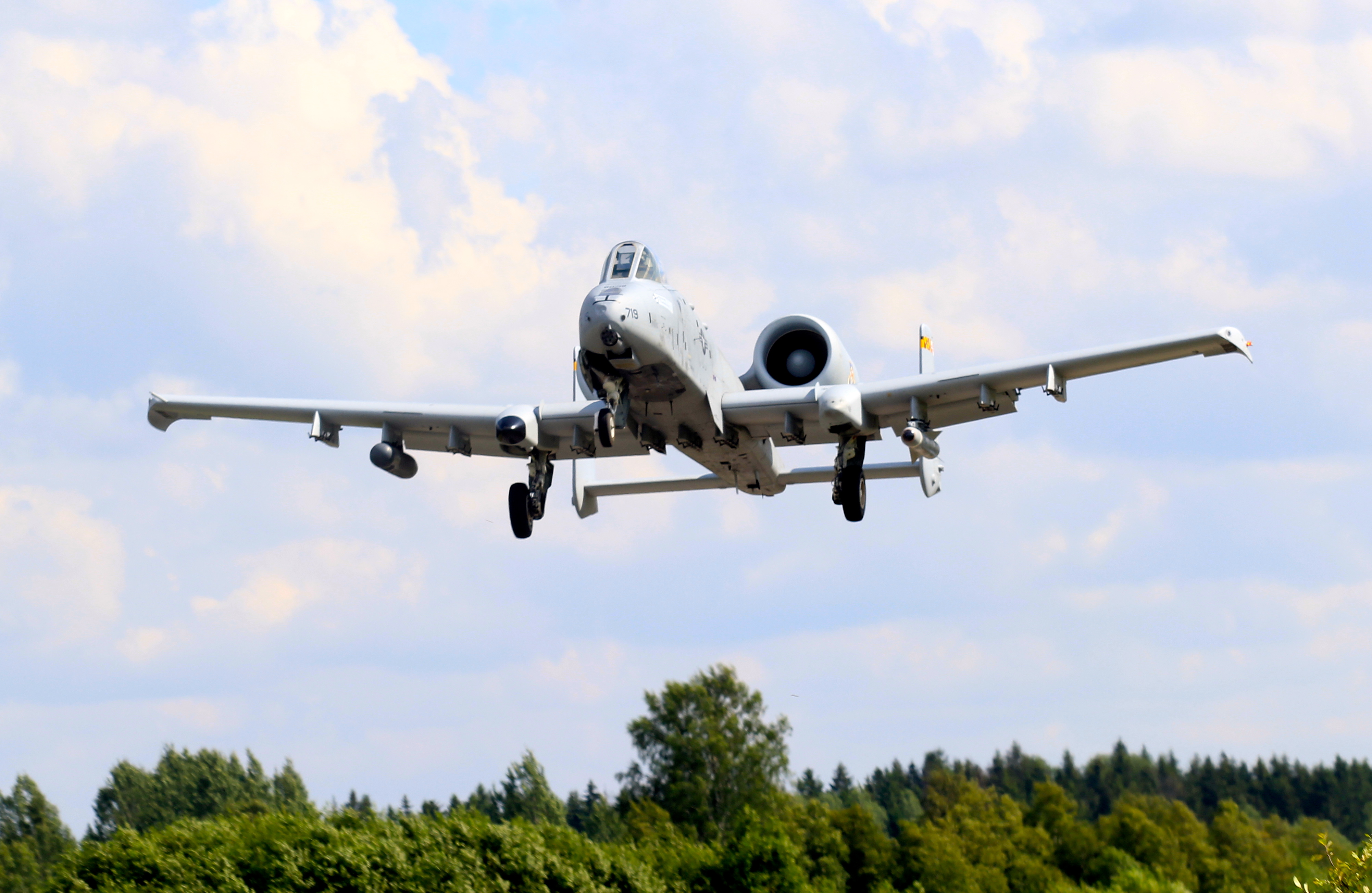 a10"第442战斗机联队"专辑(106图)