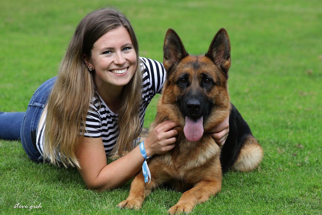 纯种德牧幼犬出售在德国牧羊犬的繁殖与销售过程中,卖家需要注意以下