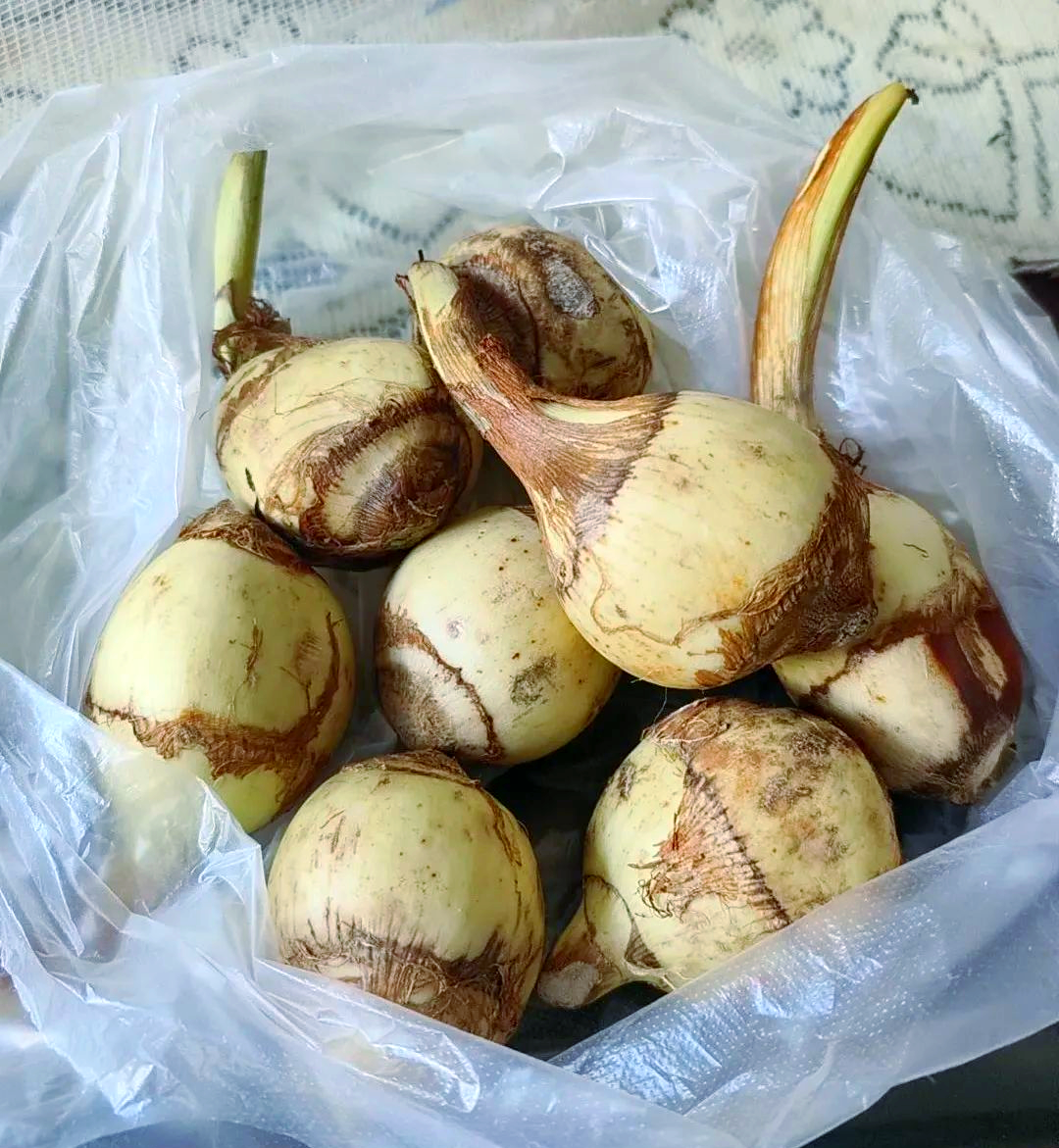 蔬菜:秋冬季的"润肺之宝"与多样美食体验