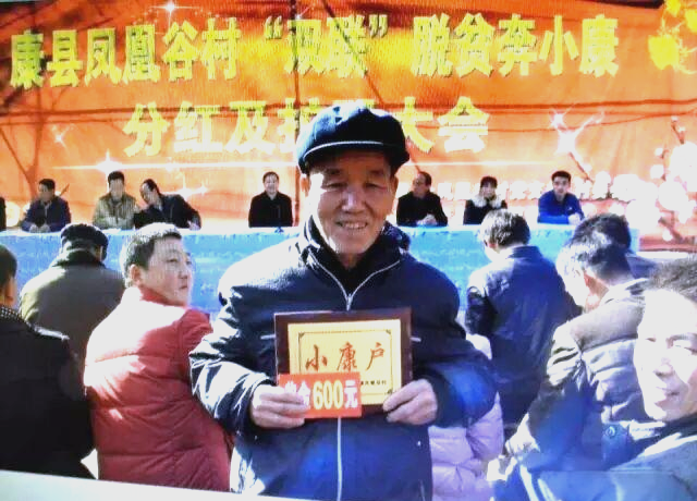 凤凰谷村:脱贫历程与全面小康的典范