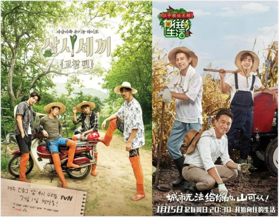 撑起韩国综艺半边天的男人,罗英锡作品被国内节目疯狂"借鉴"