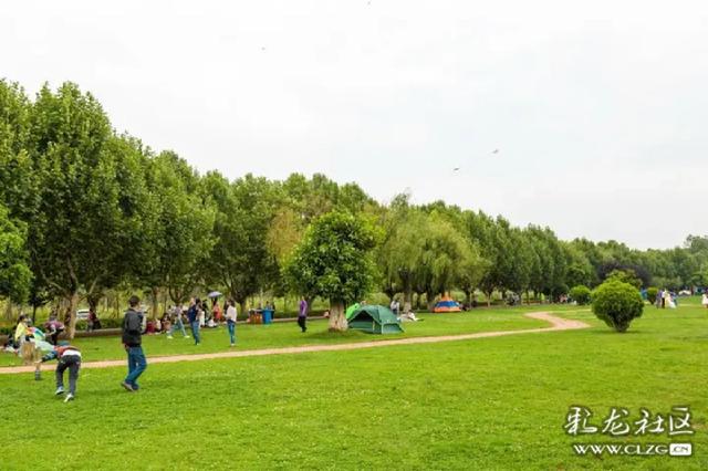 注意啦!昆明海埂公园,海洪湿地搭帐篷要收费了