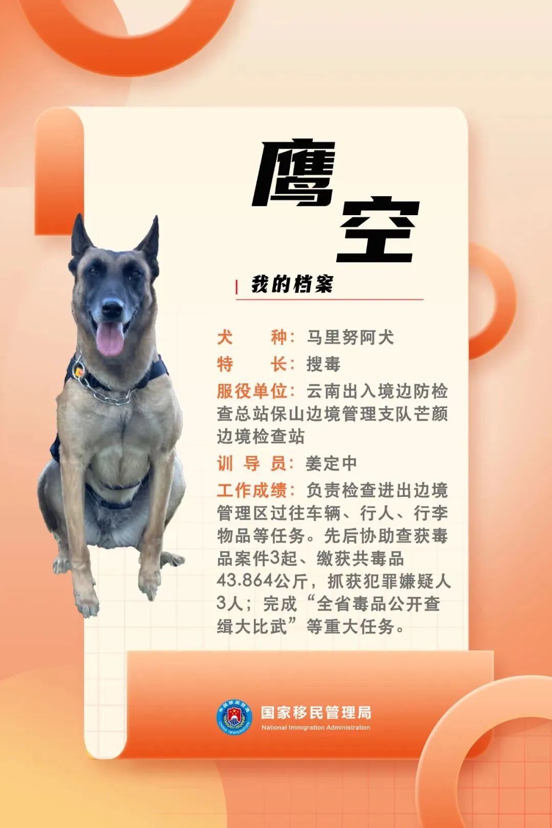 功勋犬墓碑图片