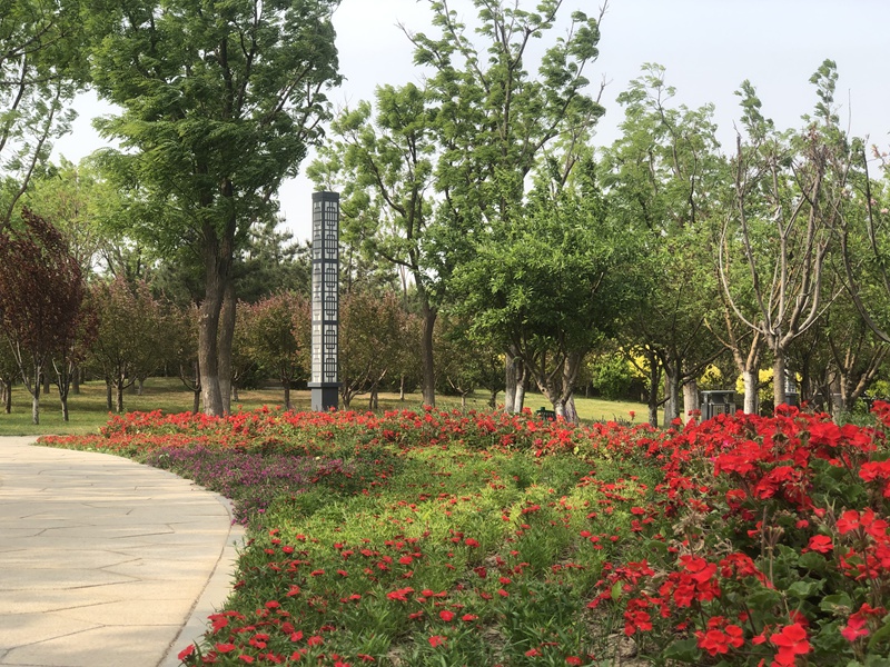 和谐公园,东篱公园焕颜扮美迎初夏