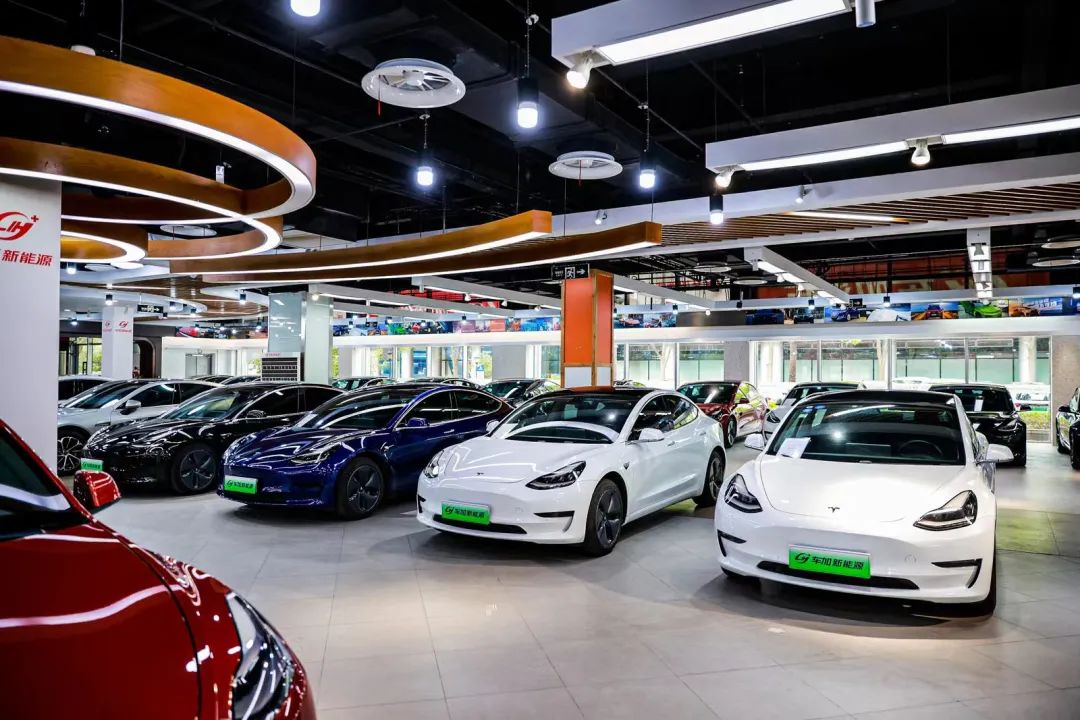 多个新能源车品牌入驻上海外高桥汽车交易市场综合展厅启动