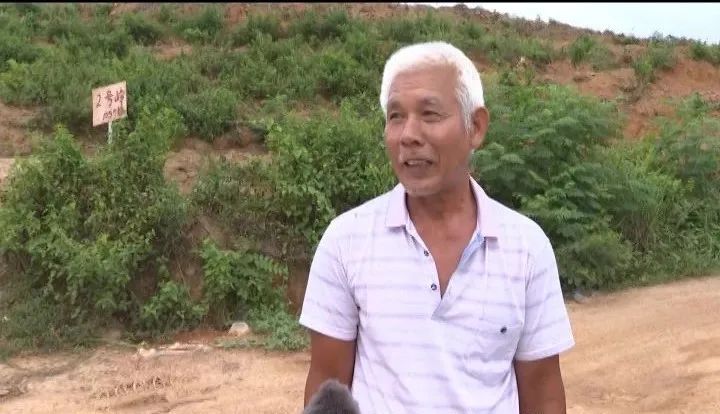 龙潭镇田面村:发展特色产业,助力脱贫攻坚