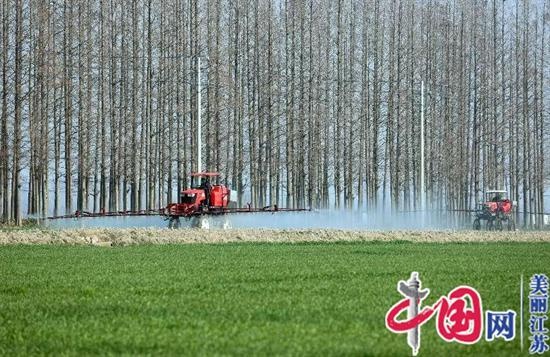 江苏宝应湖农场红火春耕引发摄影热潮