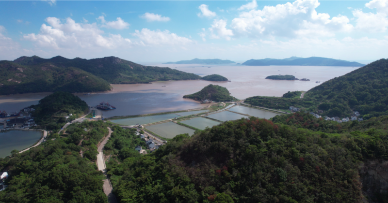 斯维登集团携手象山县鹤浦镇打造"渔村主题度假村·海岛民宿度假地"