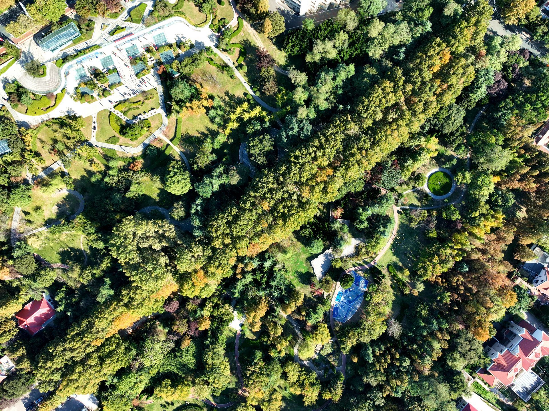 碧云天,黄叶地……青岛太平角公园秋韵浓