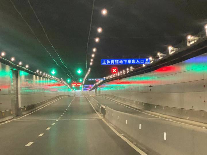 滨盛路隧道图片