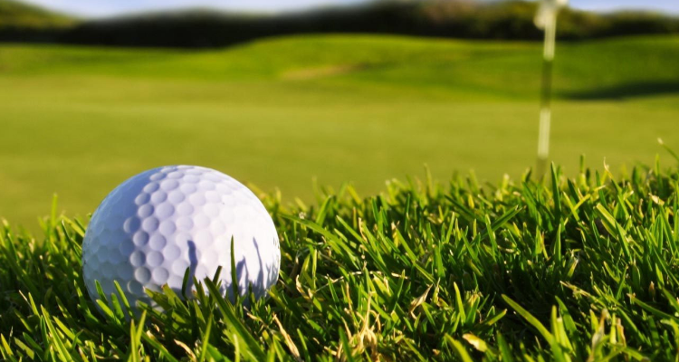 cobra是什么牌子