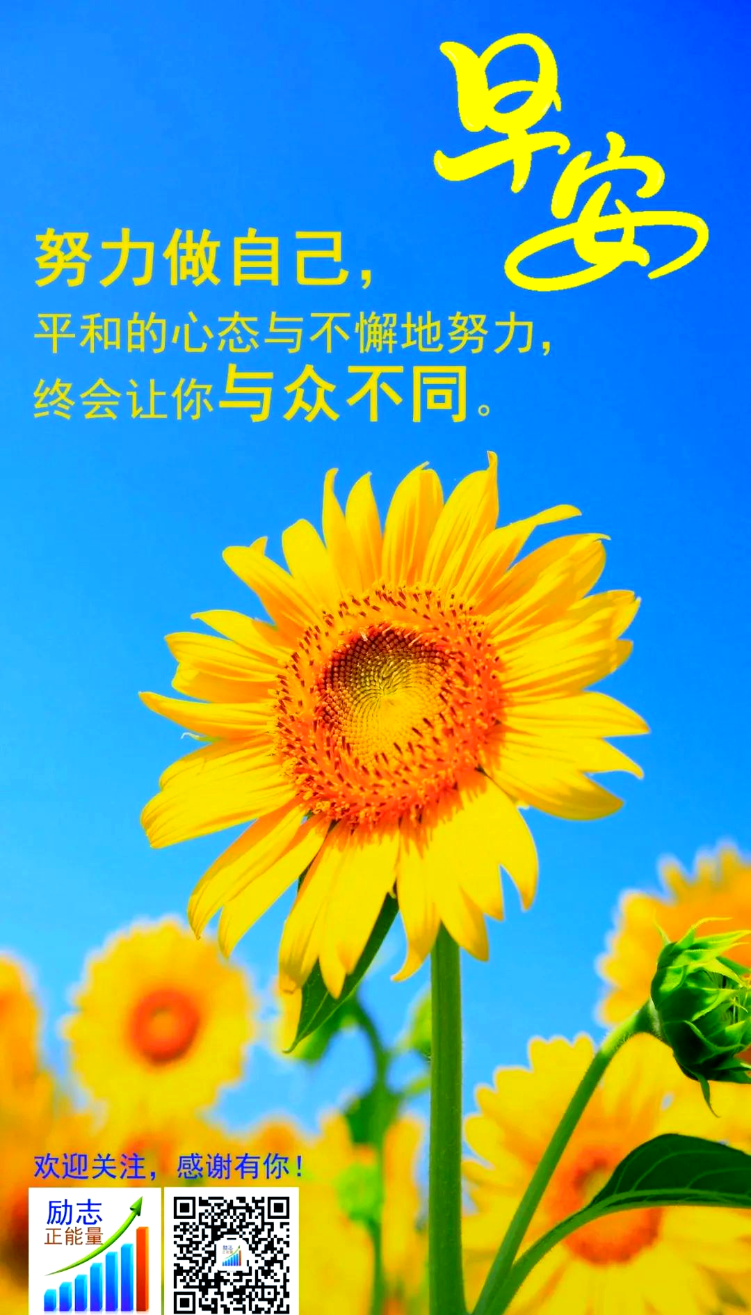 中考励志图片正能量大全(中考励志图片艺术字霸气)