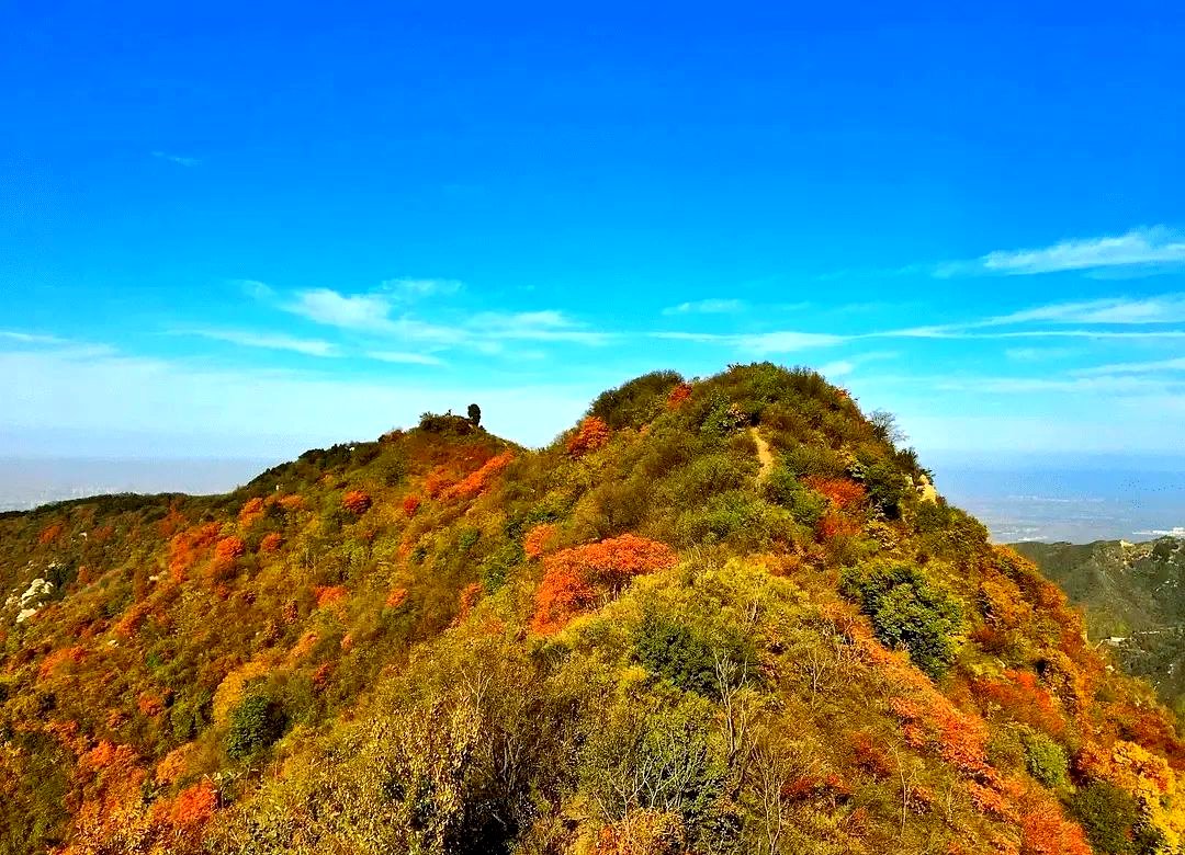 亲子徒步赏秋,探索五道梁的秋日美景