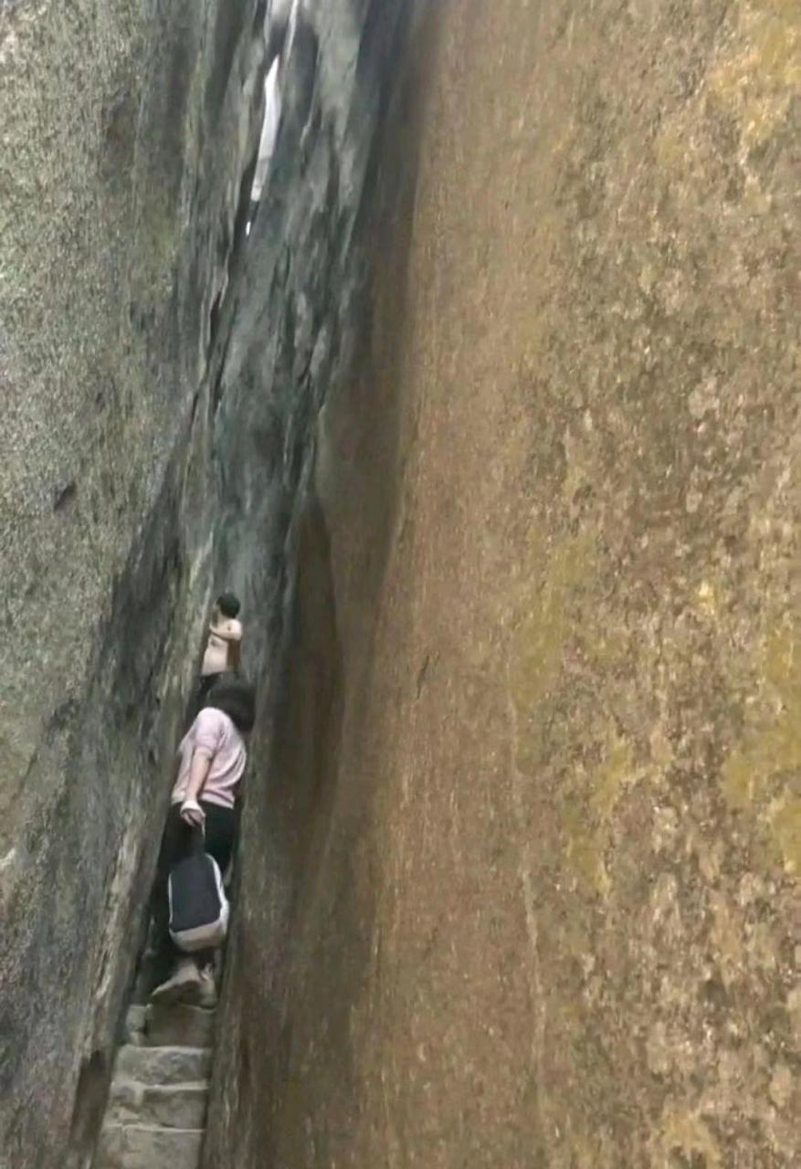 爬上去就剩半条命了