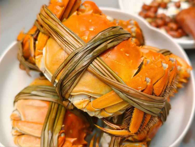 秋天的第一只大闸蟹来了！上海人吃蟹历史悠久，每个人都有食蟹经