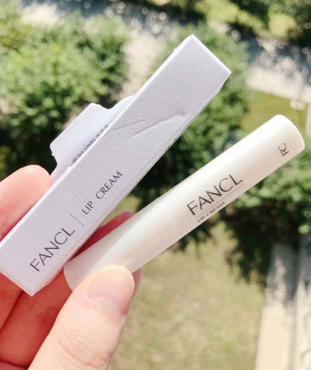 fancl润唇膏(fancl是什么牌子)