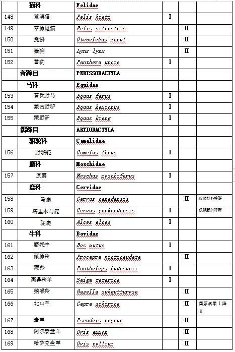 新疆野生动物保护名录图片