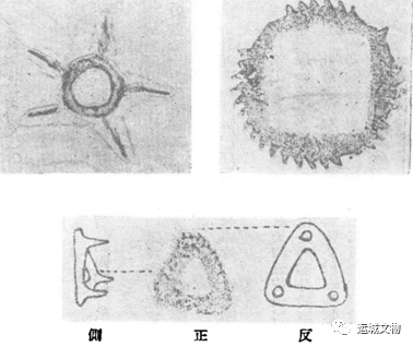 珍贵的汉代齿轮文物资料