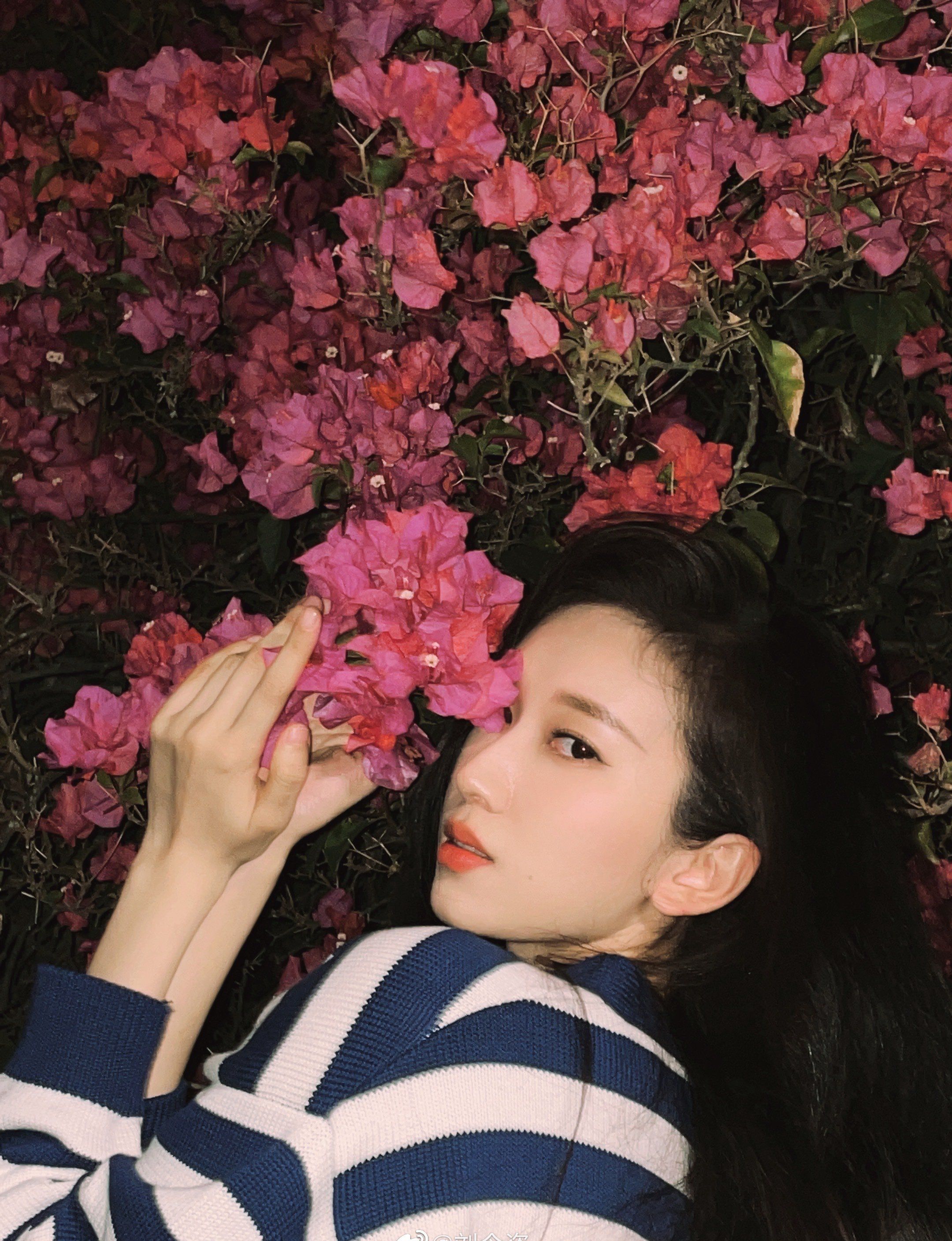 刘令姿横纹t恤粉红花朵写真