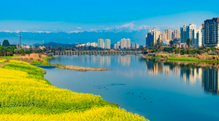 种植面积近十万亩,四川邛崃不断推动油菜产业扩面提质