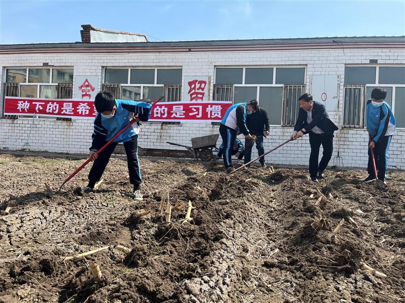 依安县富饶乡中心小学开展"种下的是希望,收获的是习惯"劳动教育活动