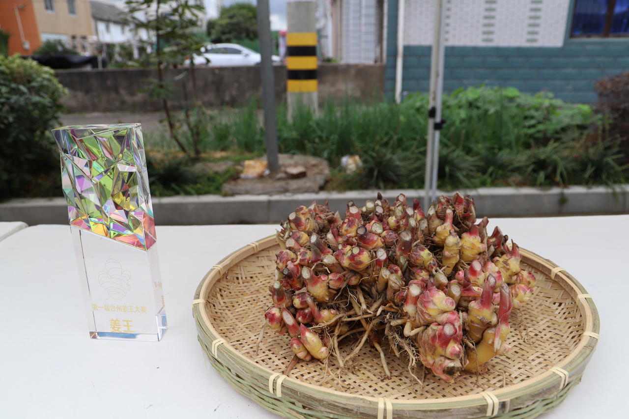助力农产品宣传推广,浙江台州首届"姜王"出炉