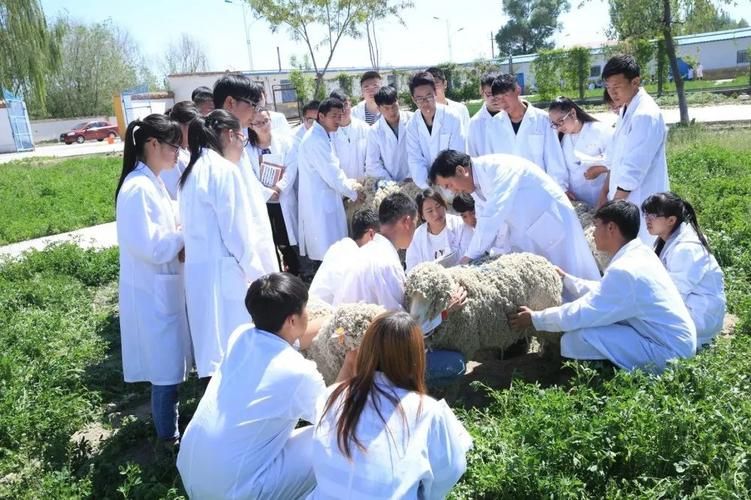 一,畜牧兽医专业详细介绍