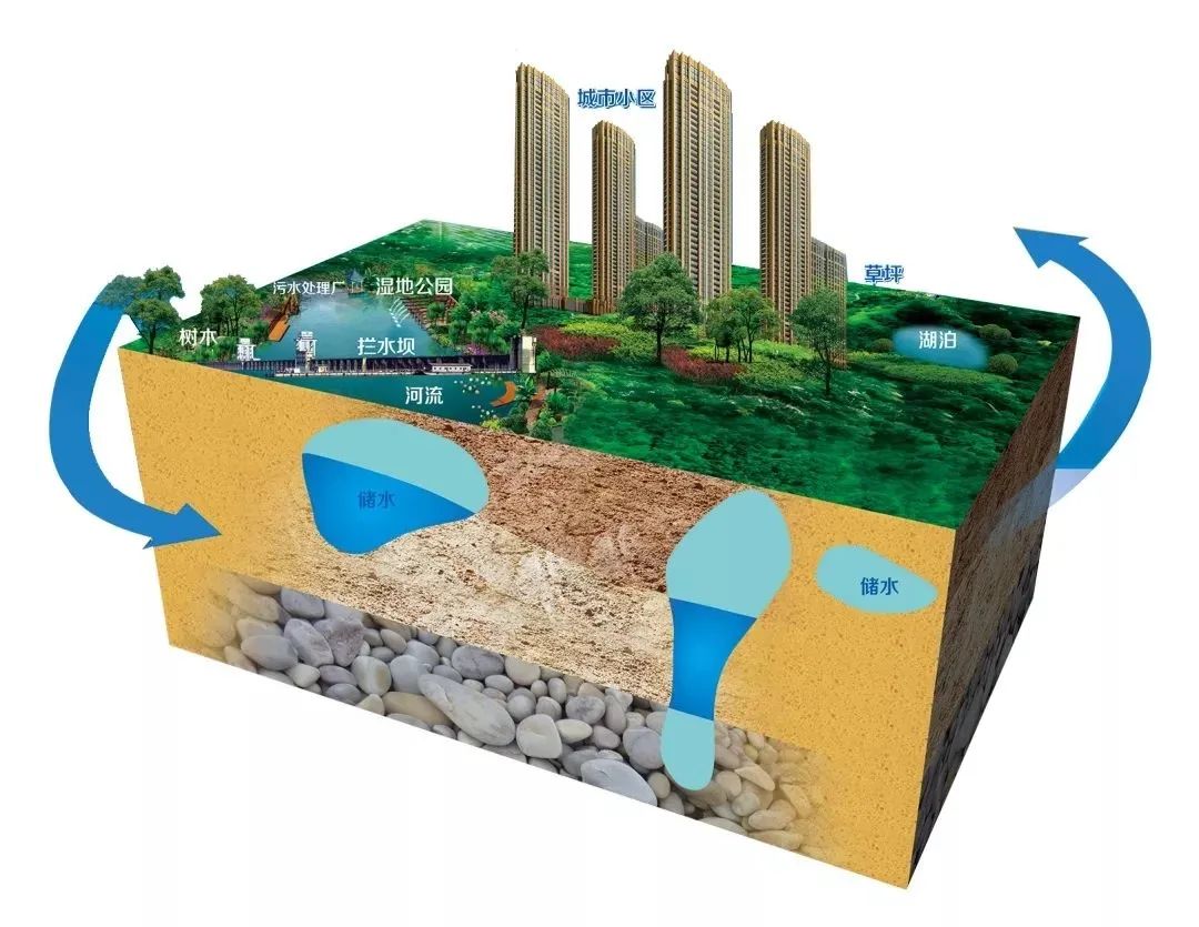 渭小妹微课堂什么是海绵城市赶紧了解