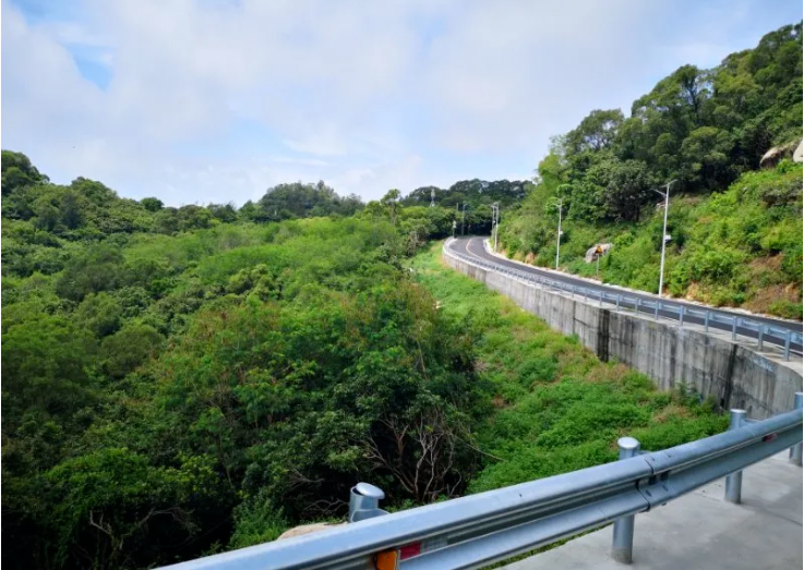 厦门山海健康步道忠仑花阶也是山海健康步道林海线一期的景观此处地势