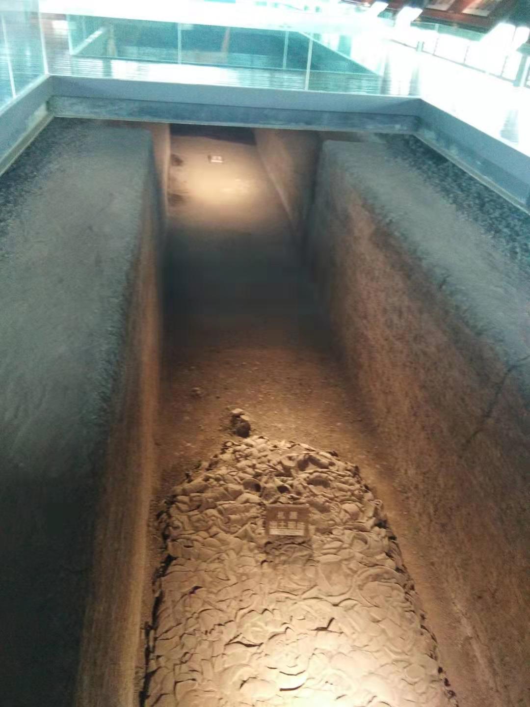逛逛鸿山遗址博物馆