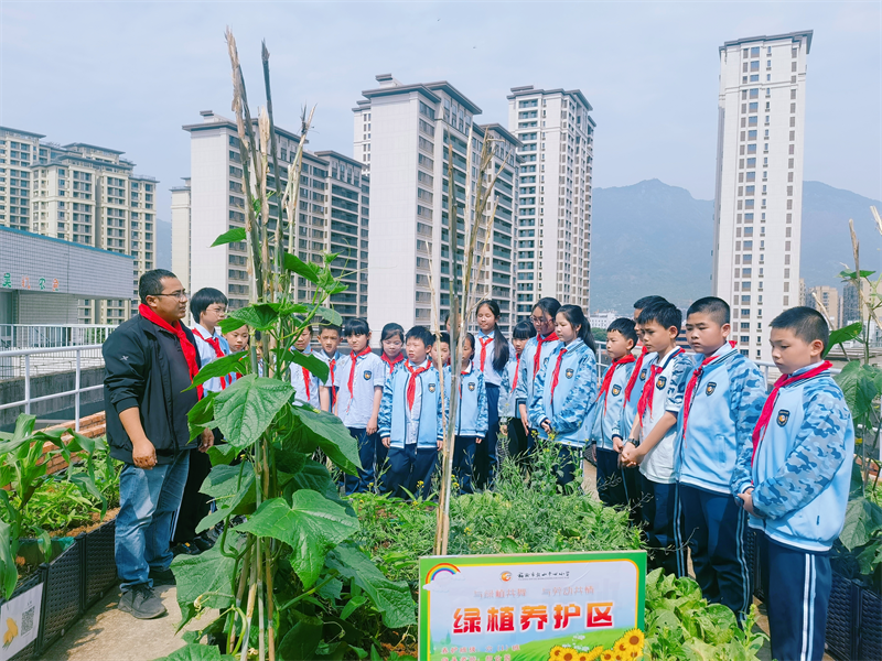 线下秀劳动技能 线上晒劳动成果 福州市鼓山中心小学劳动教育有声有色