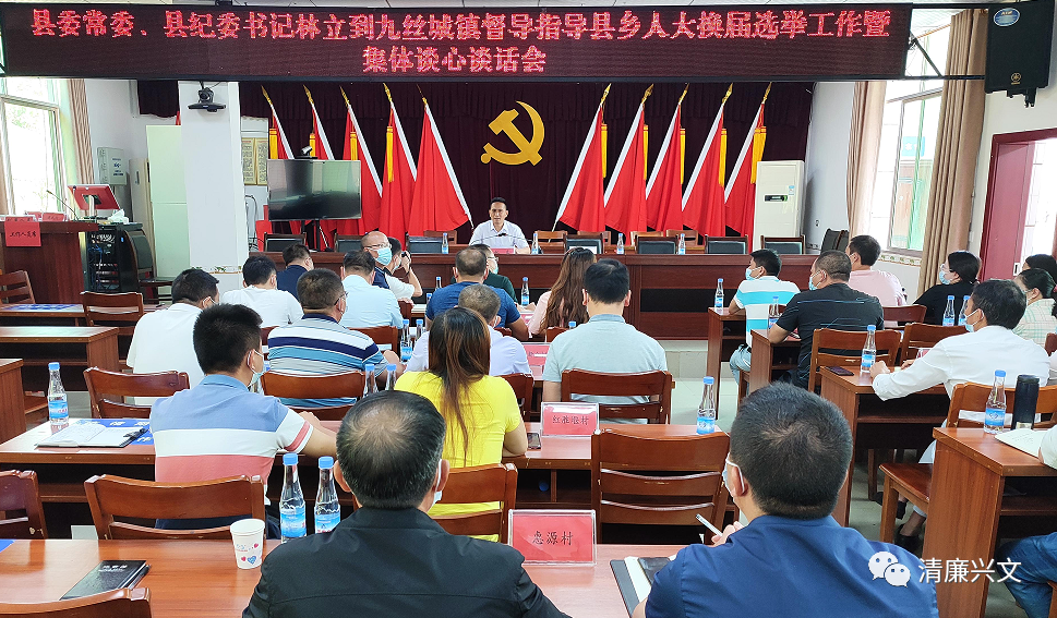 县委常委,县纪委书记,县监委代理主任林立到九丝城镇调研指导工作