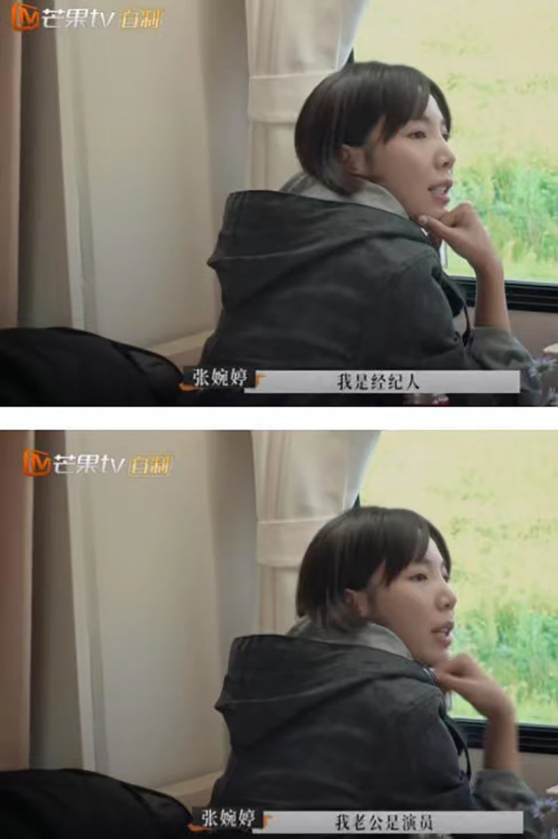 张婉婷曾是她的经纪人?宋宁峰还为前妻改过名