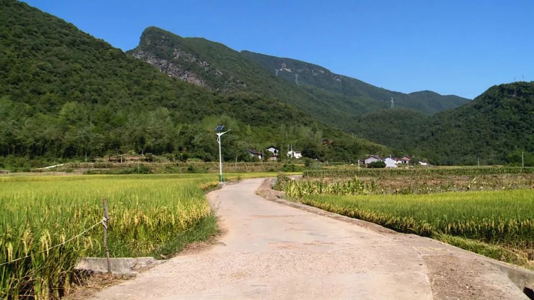 【幸福远安 共同缔造】鹿苑村:干群齐上阵 共同缔造幸福家园