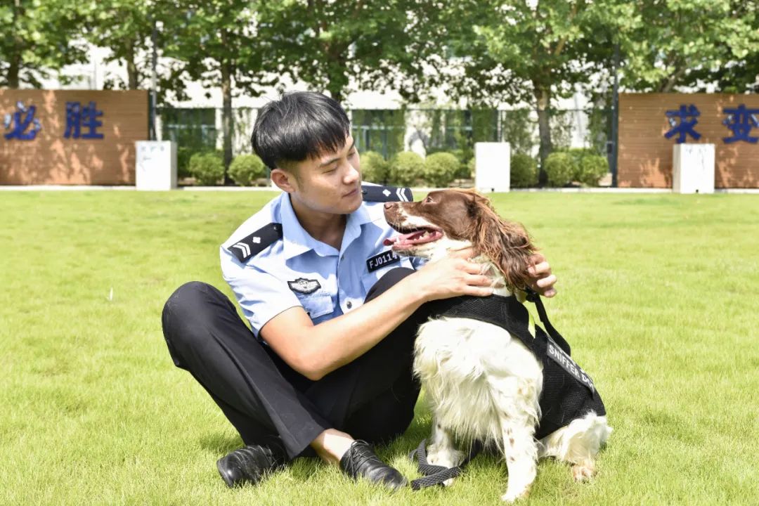 又萌又飒,潍坊缉毒犬lucky来了!