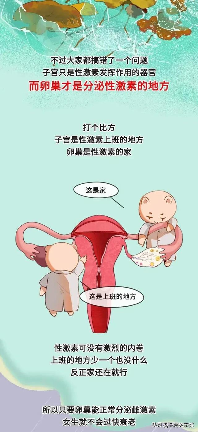 女人没有子宫能活多久图片