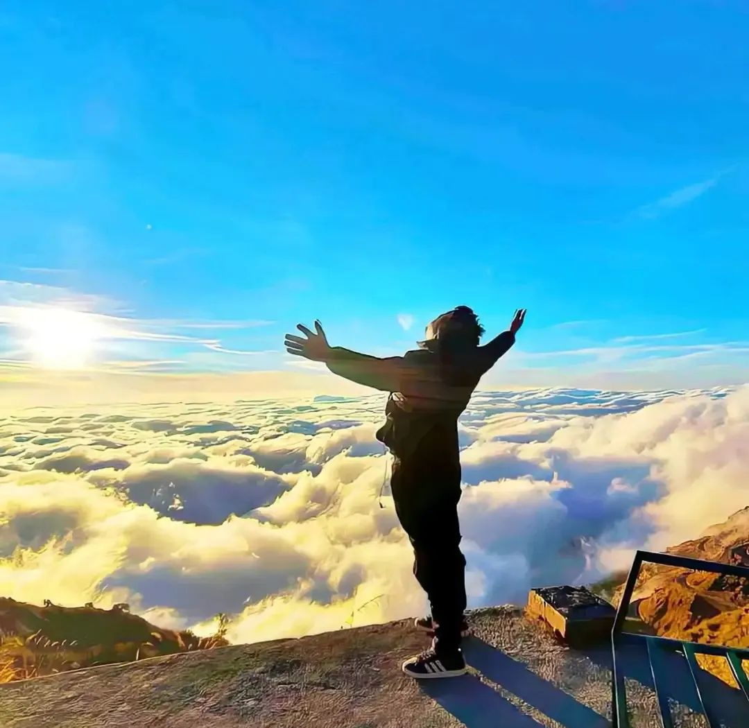 成熟男性头像设计:稳重与力量的直观表达