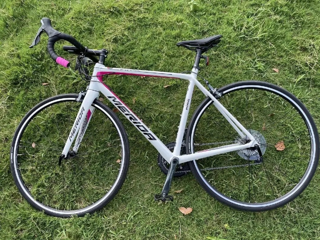 维多利亚自行车轮胎