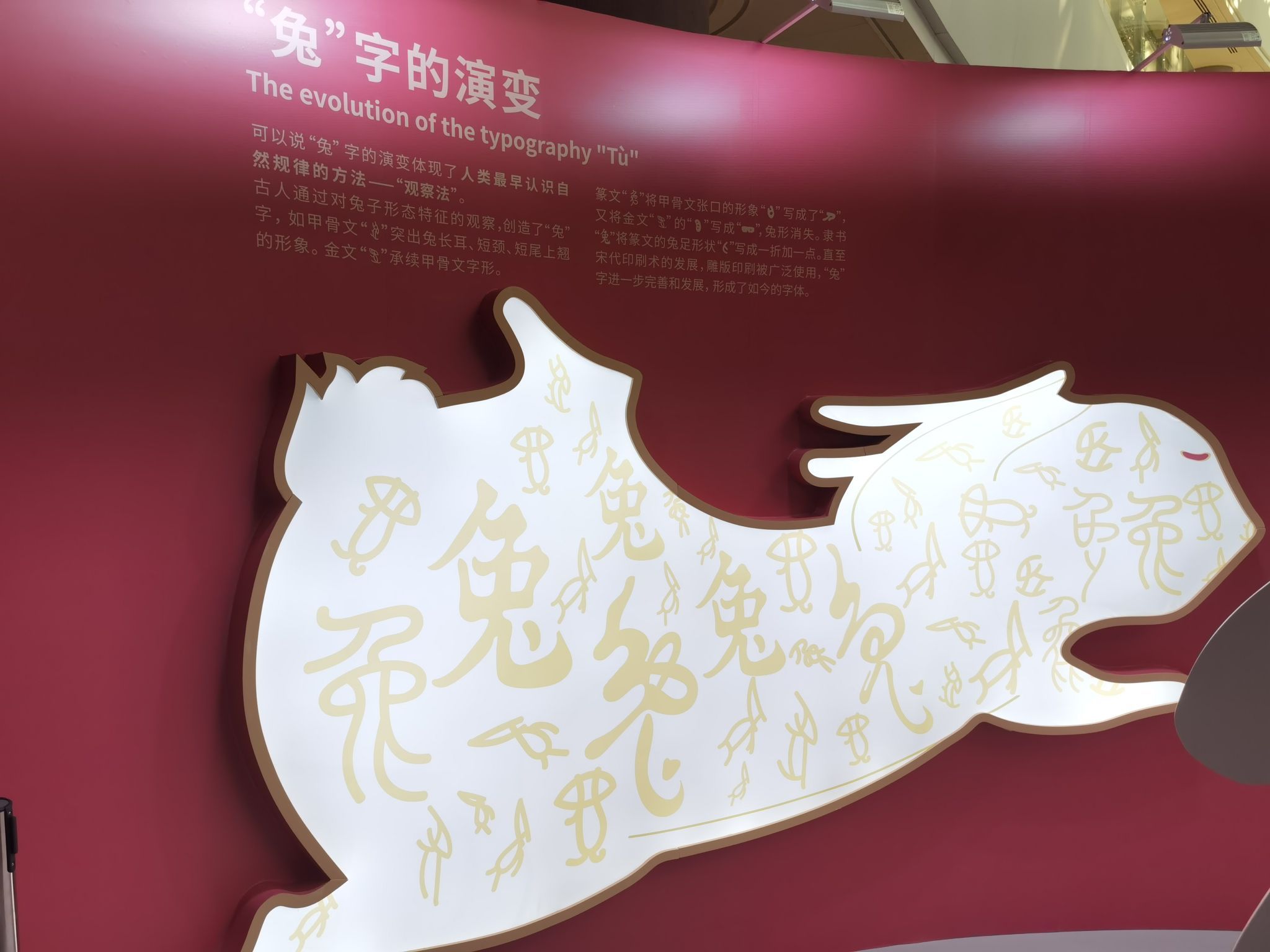 兔年看"兔子"!"玉兔东升"2023兔年生肖展在上海自然博物馆开展