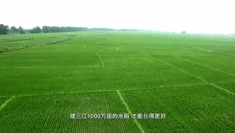 种粮大户张景会的幸福生活