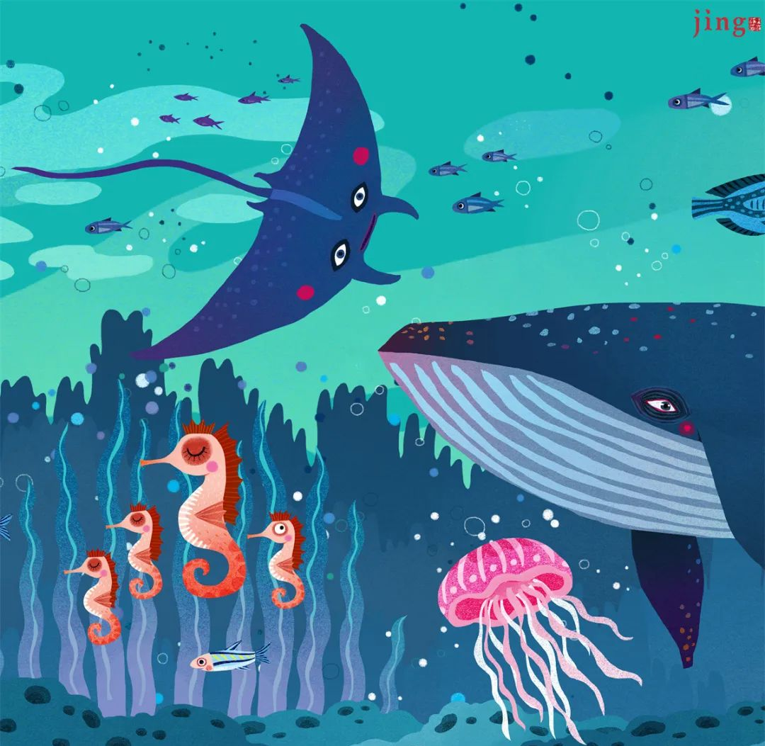 海洋动物海洋鱼类拼图插画,多样生物共绘海底世界