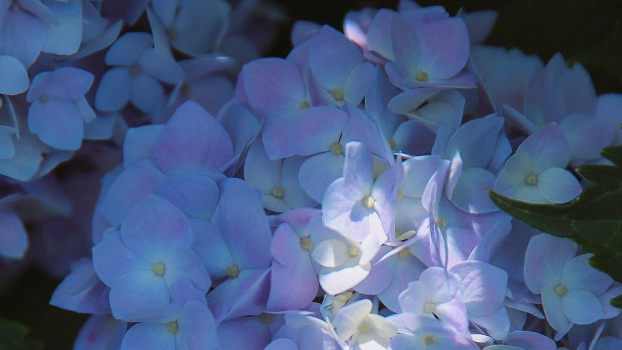 能够居安思危的星座,懂得未雨绸缪,不打没准备的仗
